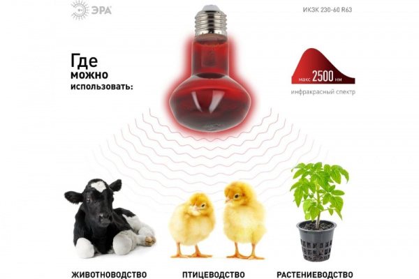 Лампа Инфракрасная ЭРА ИКЗК 230-60 R63 E27