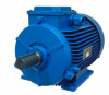 Электродвигатель (  5,5 х 3000) АИР 100L2 IM1081 220/380В (2024г)